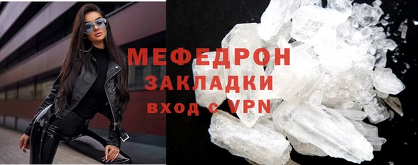 сатива Новозыбков