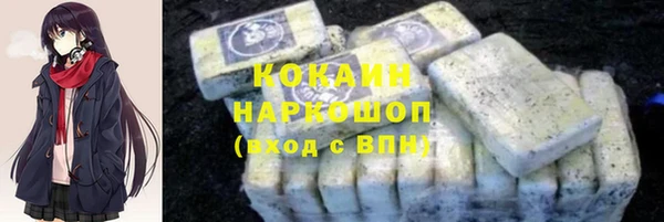 сатива Новозыбков