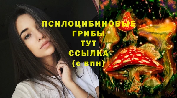 соль курить ск Алзамай